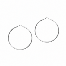 Load image into Gallery viewer, Memoire Collectable Wish Ring Earrings