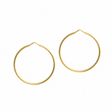 Load image into Gallery viewer, Memoire Collectable Wish Ring Earrings