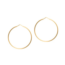 Load image into Gallery viewer, Memoire Collectable Wish Ring Earrings