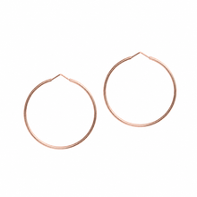 Load image into Gallery viewer, Memoire Collectable Wish Ring Earrings
